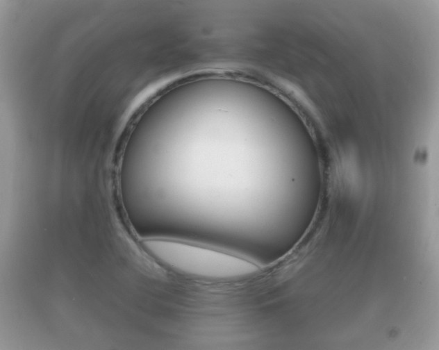 X0000092211412200709140853