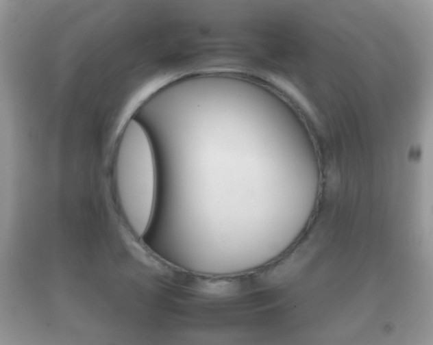 X0000092211413200709140853