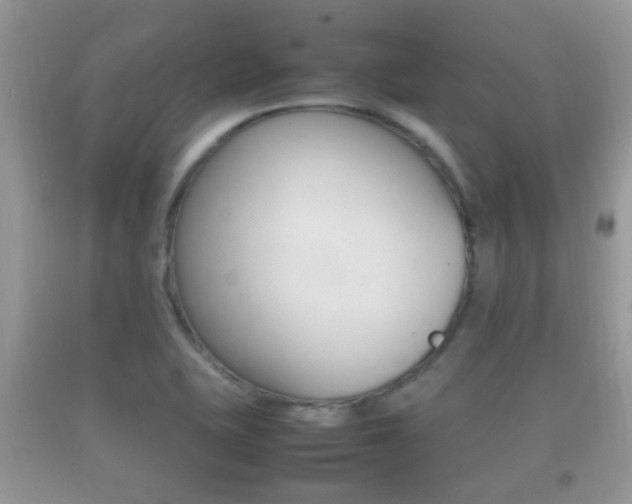 X0000092211415200709140853