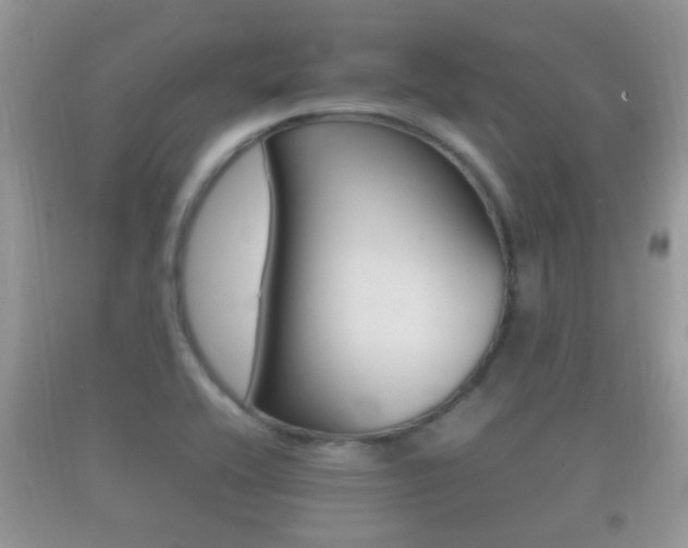 X0000092211416200709140853