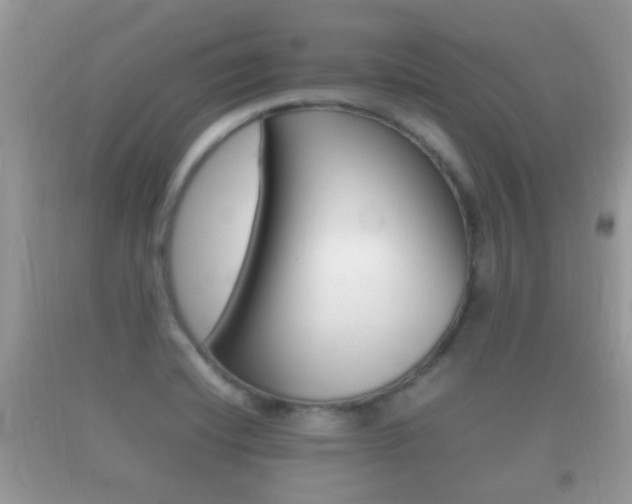 X0000092211420200709140853