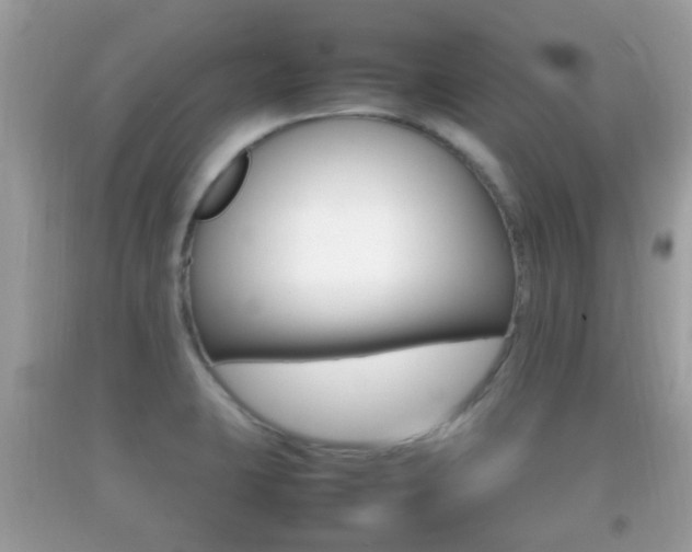 X0000092211423200709140853