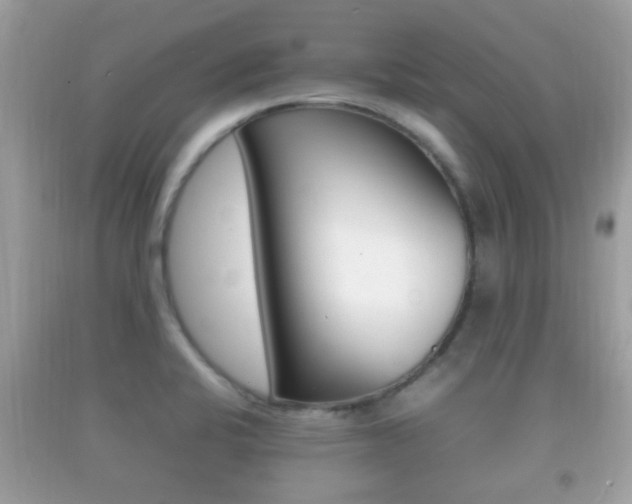 X0000092211424200709140853