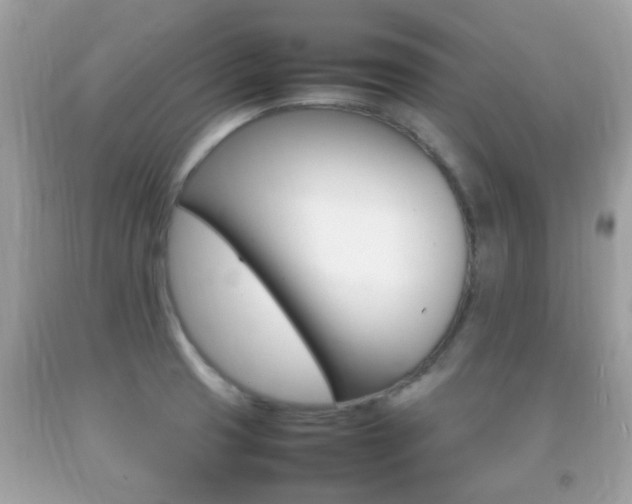 X0000092211425200709140853