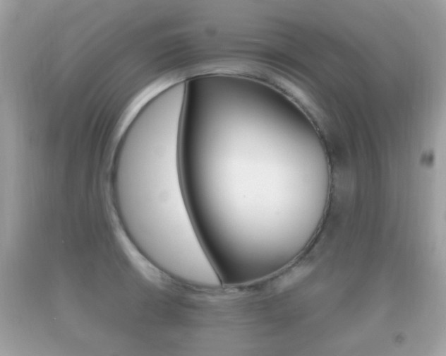 X0000092211426200709140853