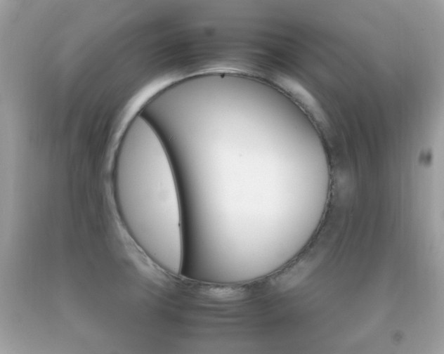 X0000092211427200709140853
