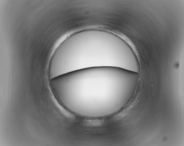 X0000092211429200709140853