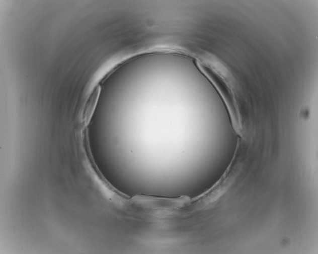 X0000092211430200709140853