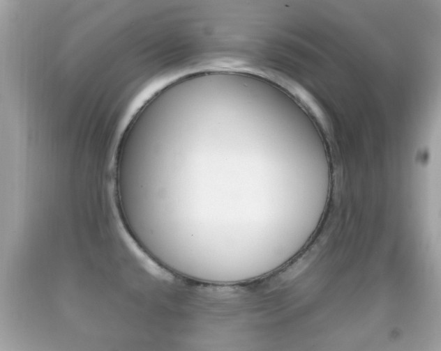 X0000092211432200709140853