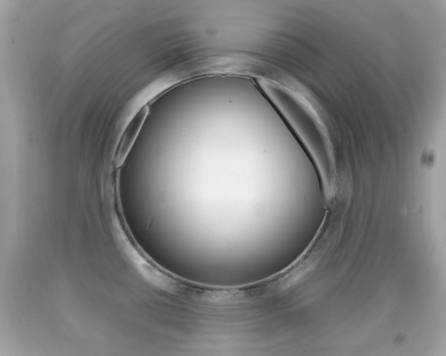 X0000092211434200709140853