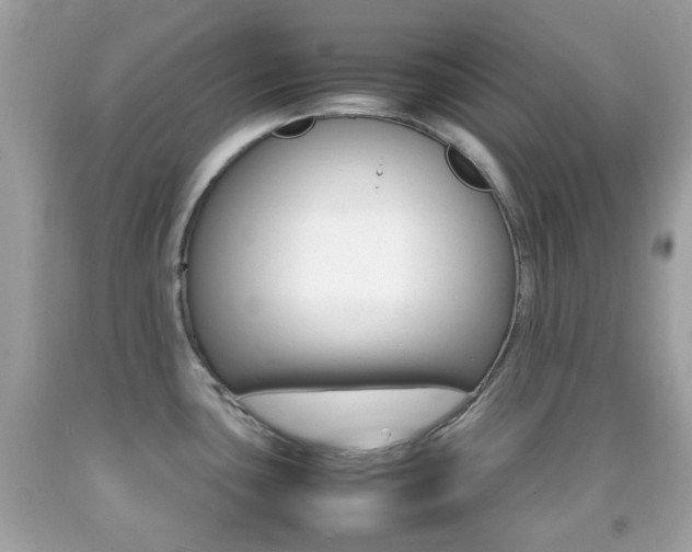 X0000092211435200709140853