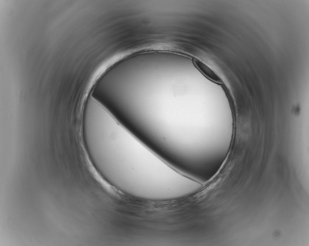 X0000092211437200709140853