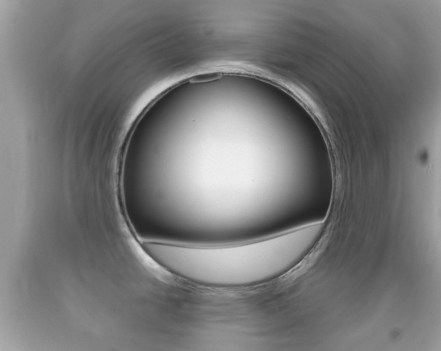 X0000092211438200709140853