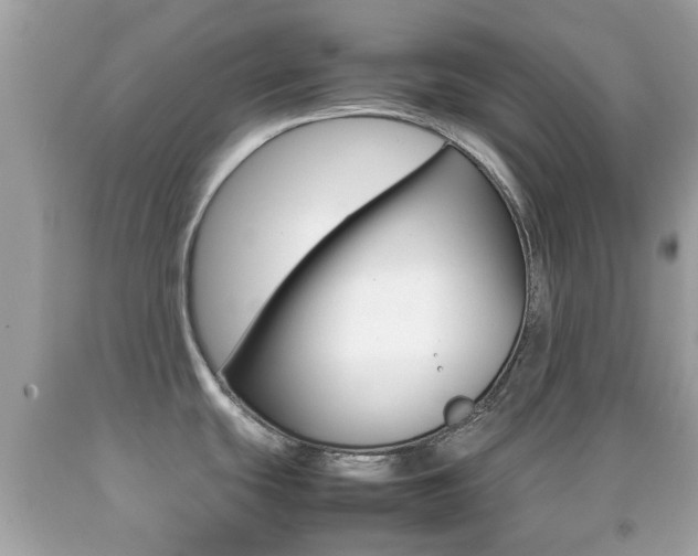 X0000092211439200709140853