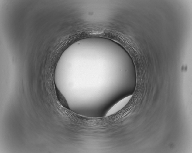 X0000092211441200709140852