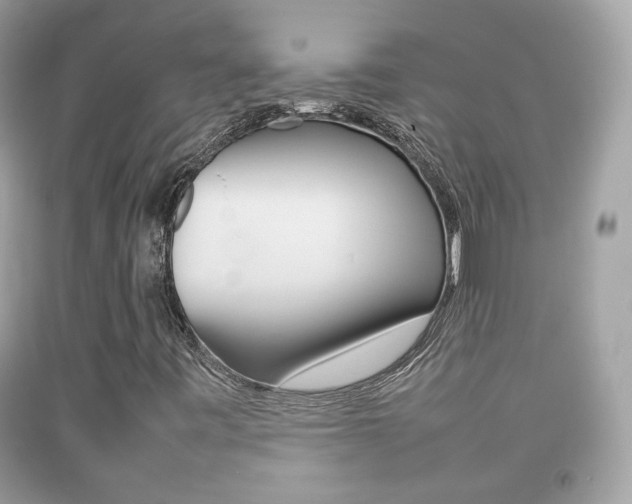 X0000092211443200709140852