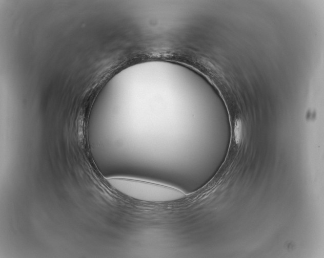 X0000092211444200709140852