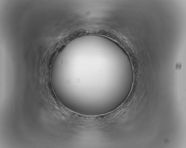 X0000092211445200709140852