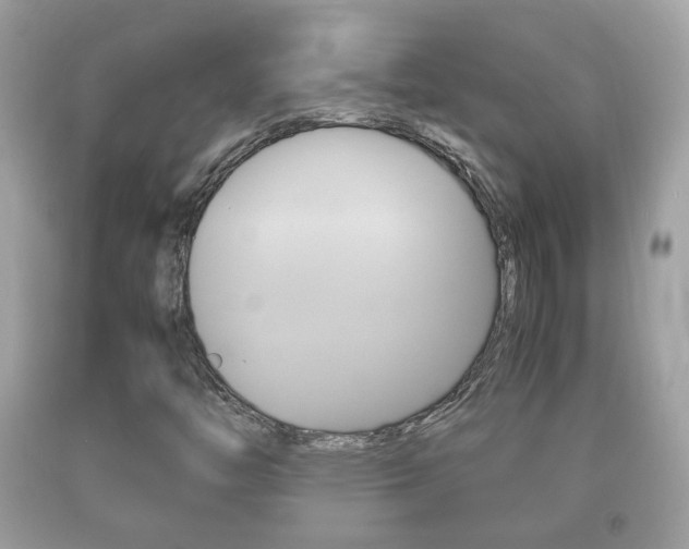 X0000092211446200709140852