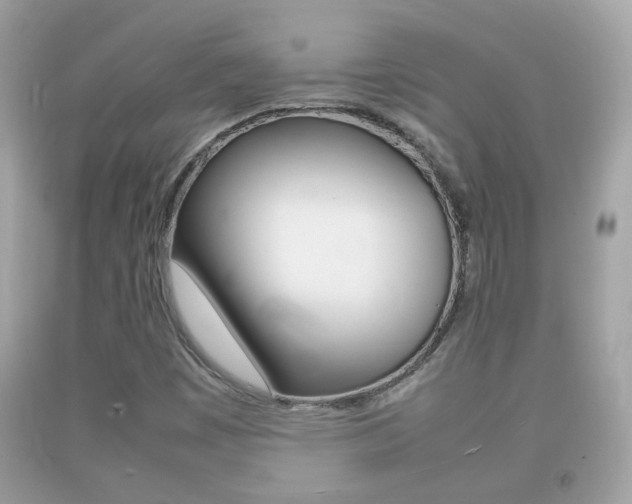 X0000092211449200709140852