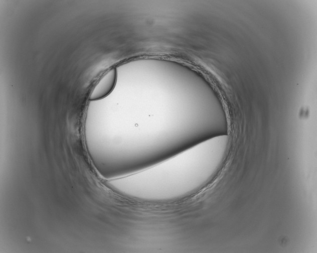 X0000092211451200709140852