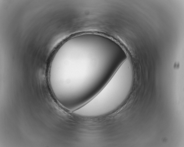 X0000092211452200709140852