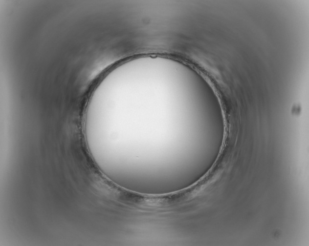 X0000092211453200709140852