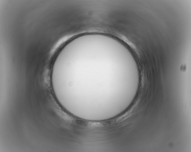 X0000092211454200709140852