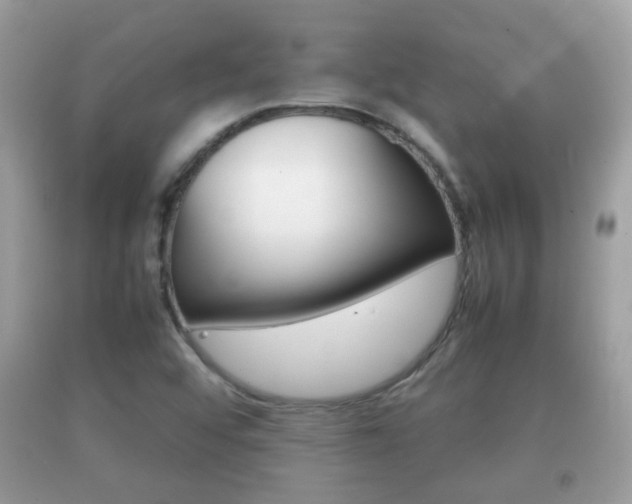 X0000092211456200709140852