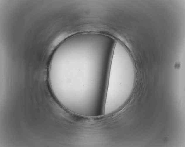 X0000092211459200709140852