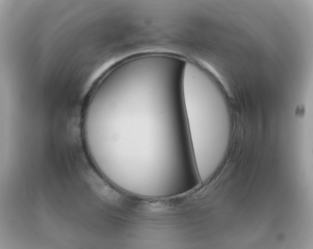 X0000092211460200709140852