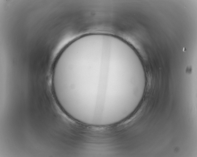 X0000092211462200709140852