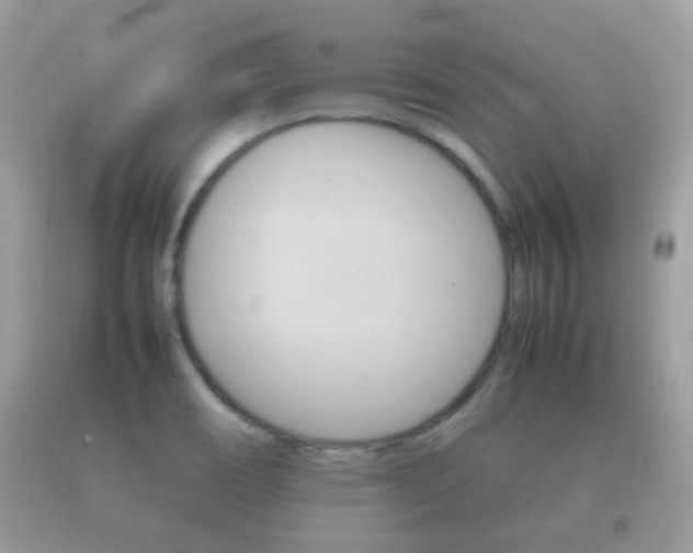 X0000092211466200709140852