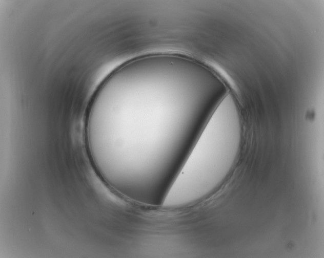 X0000092211468200709140852