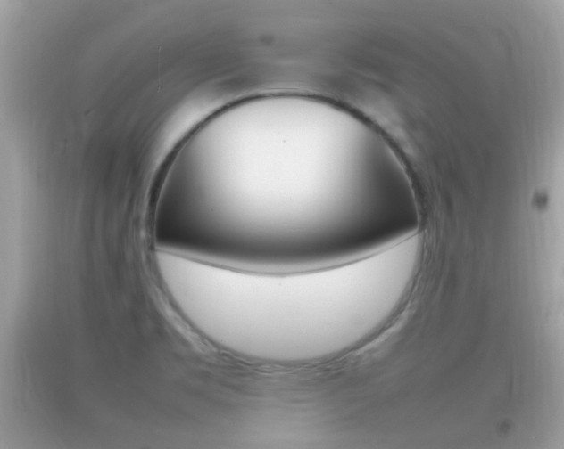 X0000092211469200709140852