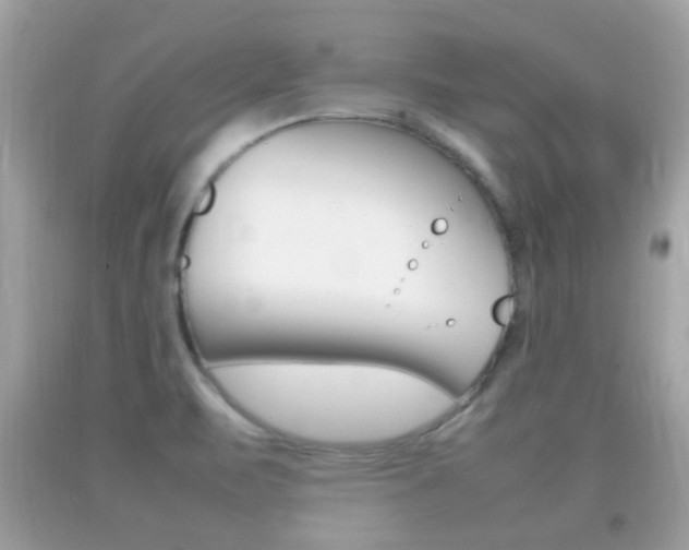 X0000092211471200709140852