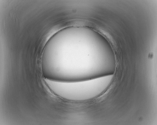 X0000092211473200709140852
