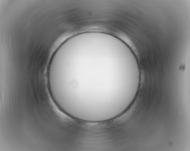 X0000092211474200709140852