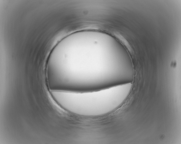 X0000092211475200709140852