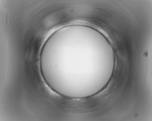 X0000092211478200709140852