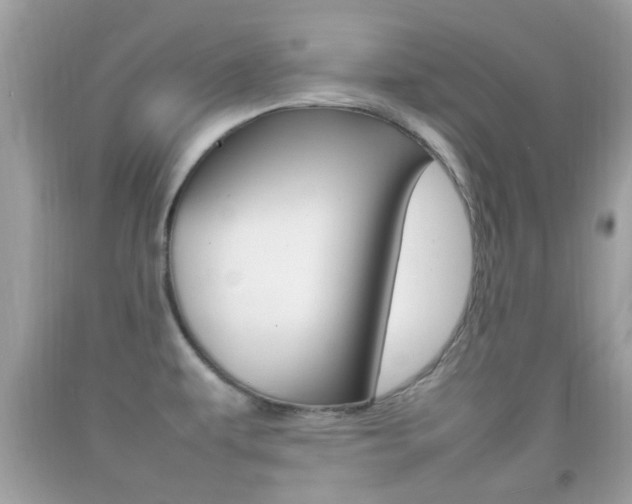 X0000092211479200709140852