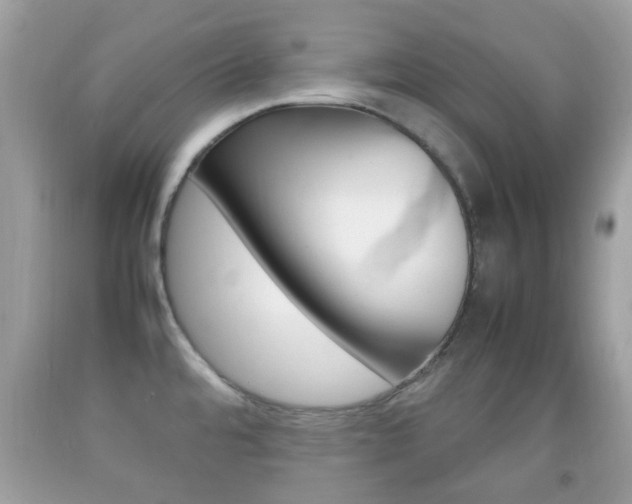 X0000092211480200709140852
