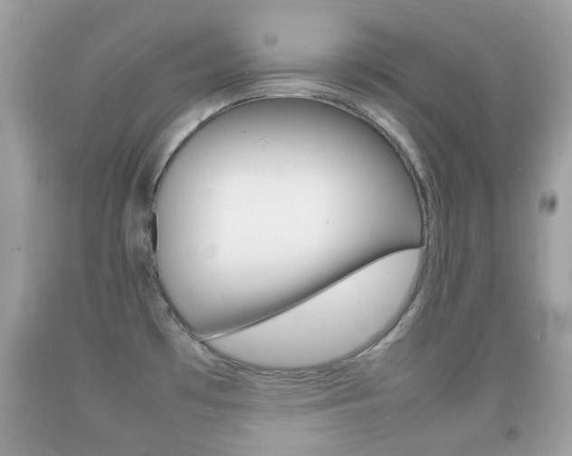 X0000092211481200709140852