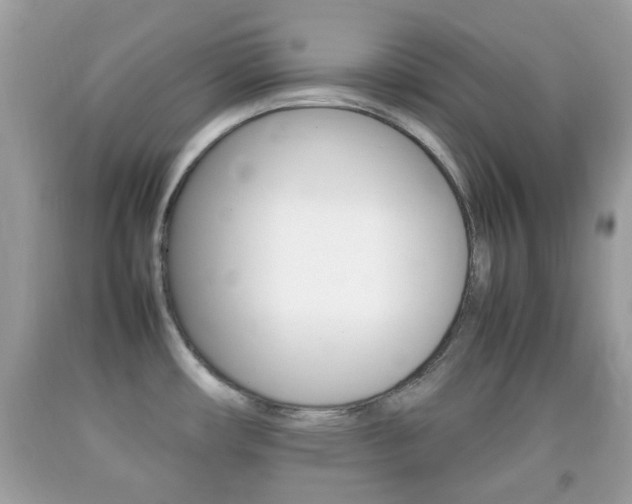 X0000092211482200709140852