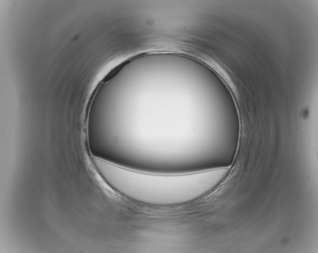 X0000092211485200709140852