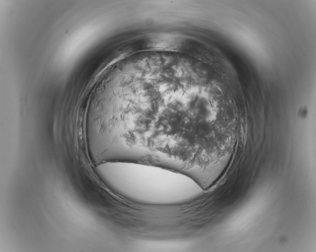X0000092211487200709140852