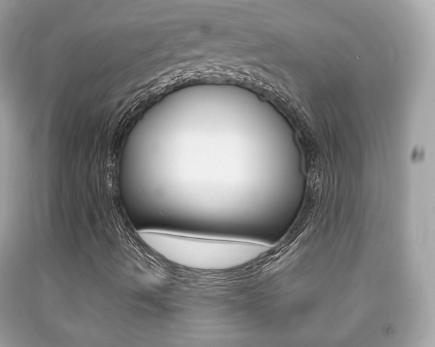 X0000092211490200709140851