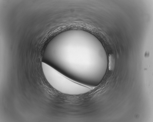 X0000092211491200709140851