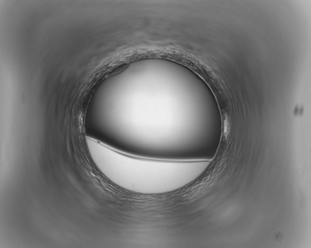 X0000092211492200709140851