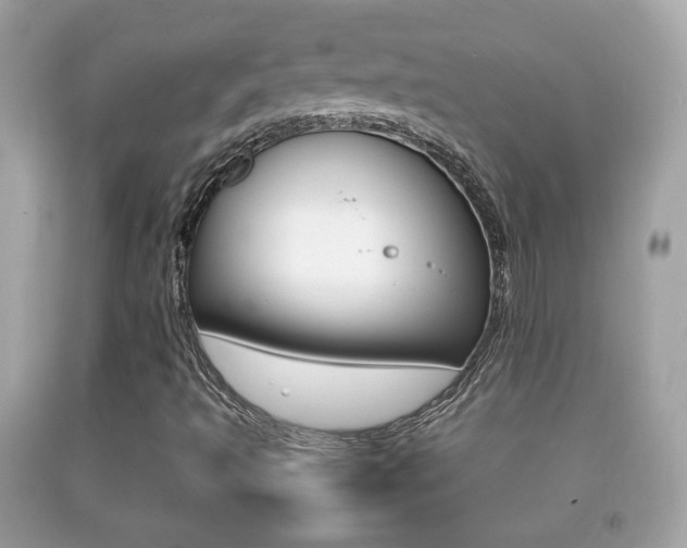 X0000092211493200709140851